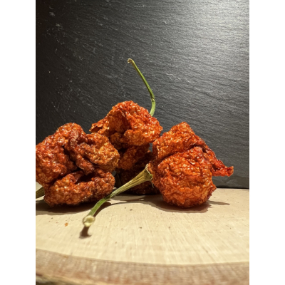 Gedroogde Carolina Reaper  