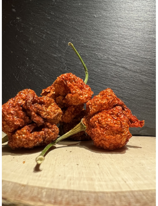 Gedroogde Carolina Reaper  